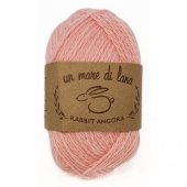Wool Sea Rabbit Angora (вул сеа Ангора Кролик) 180 - светлая бегония